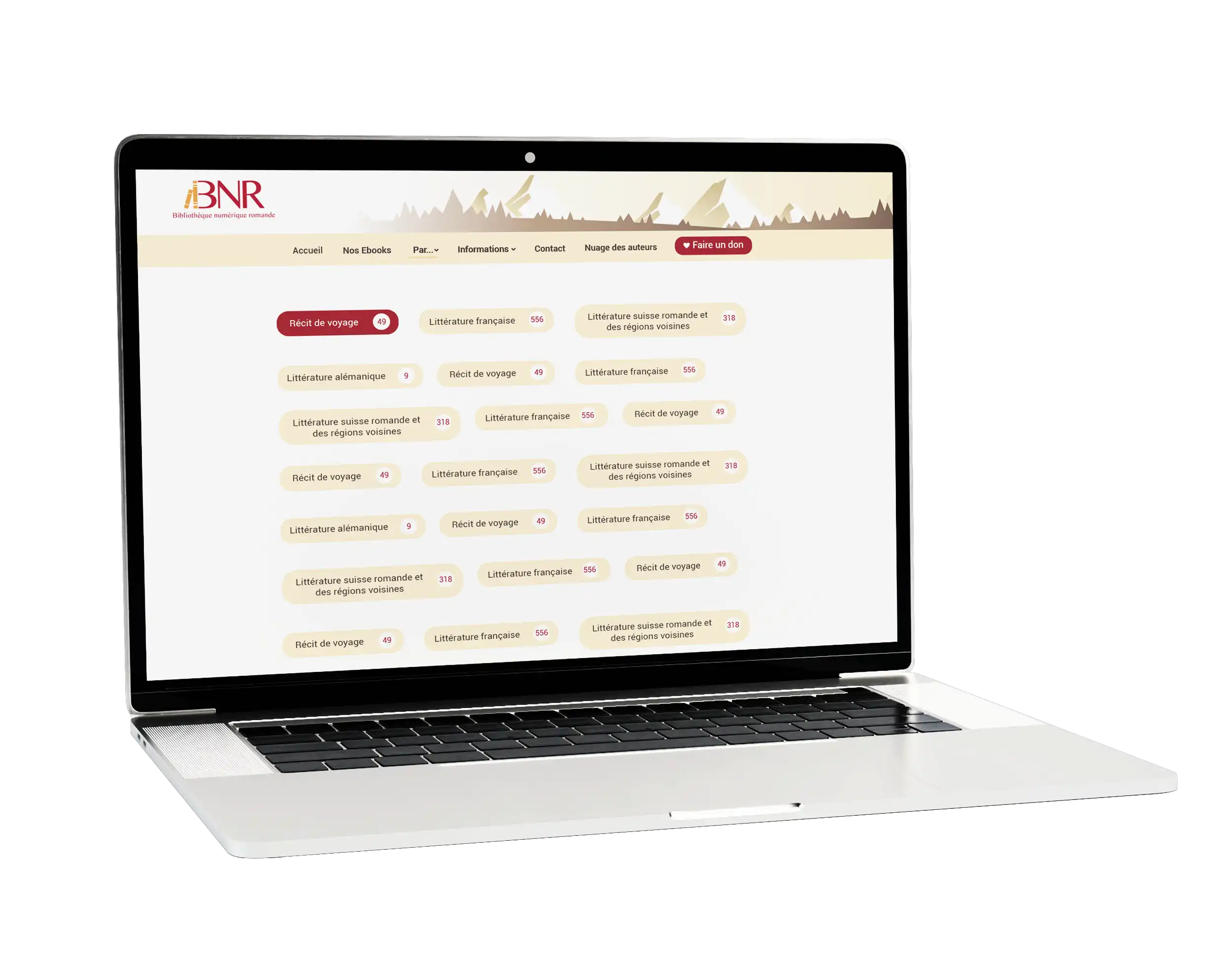 BNR Web Design mockup